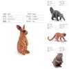 Pvc Forest Monkey Rabbit Fox Deer Figures Collection Realistic Static Models For Classroom And Display
