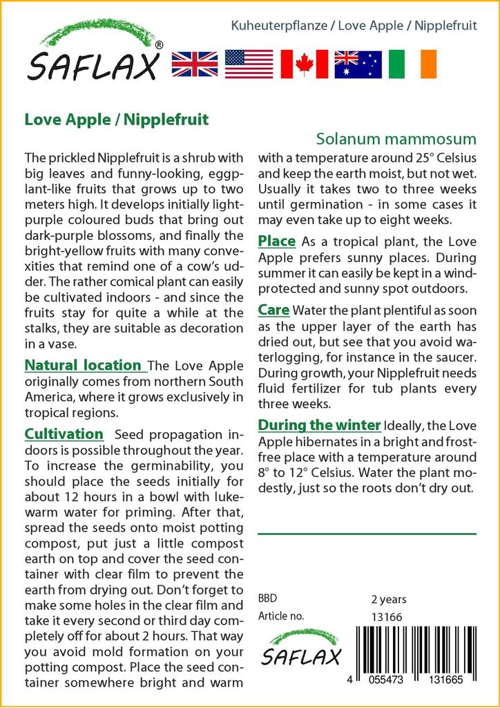 SAFLAX Love Apple / Nipplefruit - 10 semi - Solanum mammosum