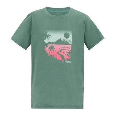 Överdelar (Pojkar från 4 år) – T-shirts