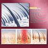 1-3x Onion Hair Oil | Hair Growth & Hair Fall Control Natural - Care Hair