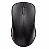 Rapoo 1620 Kabellose Maus