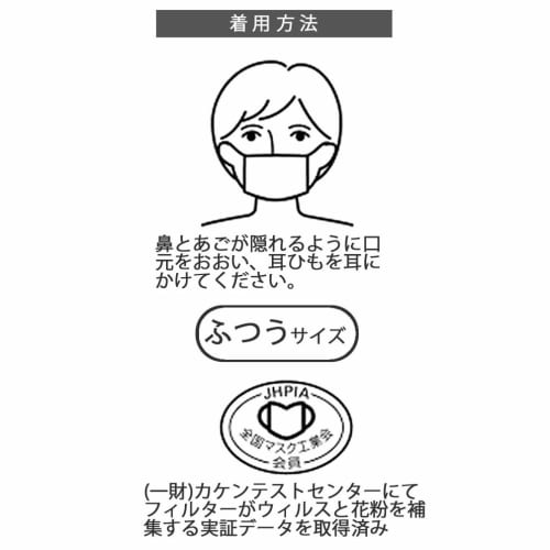 Skater Gauze Mask for Adults Washable and Usable 100% Cotton Mask 3 Pieces MSKG2 Regular 13.5 x 9.5cm-A