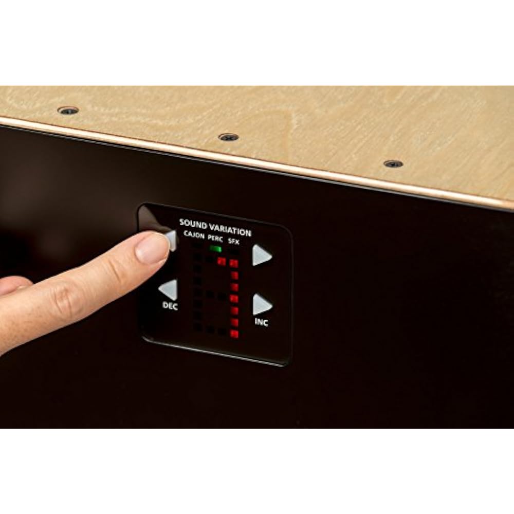Roland Roland Roland Electronic Layered Cajon EC-10 Hybrid Cajon Sound for Various Instruments Ca...