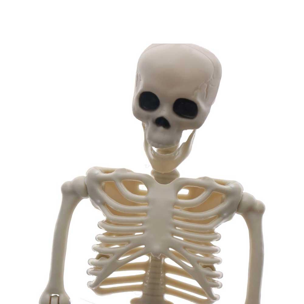 Skeleton Flexible Human Skeleton Model Car Decoration Anatomy Skeleton People Active Model