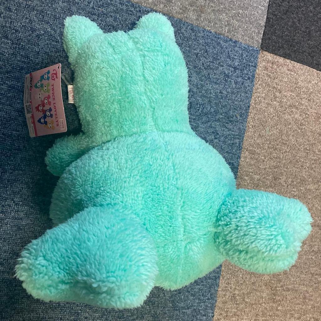 [USED] TWICE LOVELY Plush Toy Mint Green