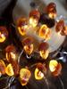 3D acorn light string Luminous fruit light string for Outdoor camping Forest Decor Thanksgiving day Decorations
