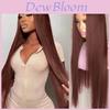 Long Straight Lace Wig With Hightemperature Silk Fibers For Natural Look And Versatile Styling