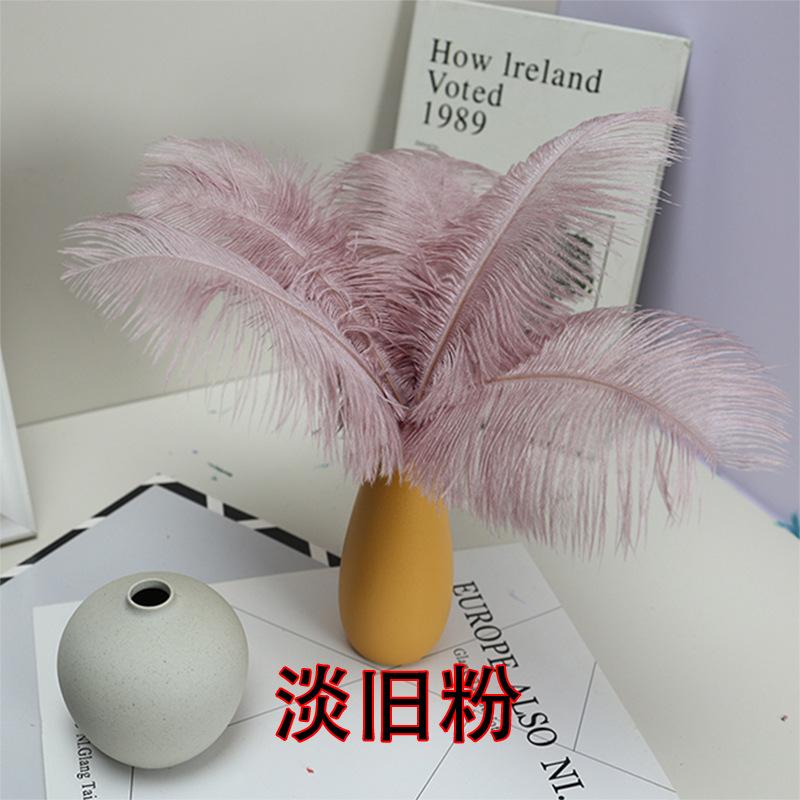 10 STÜCKE 20-25Cm Straußenfeder Bühnenauftritt Feder Handgefertigt DIY Schmuck Dekomaterial Straußenhaar