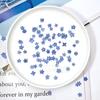 Resin Ornaments Natural Card Jewelry Don't Forget Me Pressed Flower Dried Flowers Forget-Me-Not