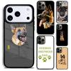 Huse pentru telefoane – Huse tip bumper pentru telefon
