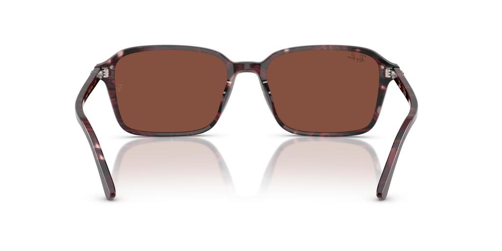 Sunglasses 0RB2231F TRANSPARENT FANTASY 56 [Ray-Ban] VIOLET/RED