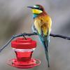 Kolibri-Futterspender Abnehmbar Große Kapazität mit Haken Hängende Vogelfutter-Fütterungsutensilien