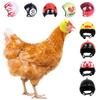 Mini Pet Chicken Helmet Cartoon Small Pet Hard Hat Pet Protective Headgear  For Bird Quail Pigeon
