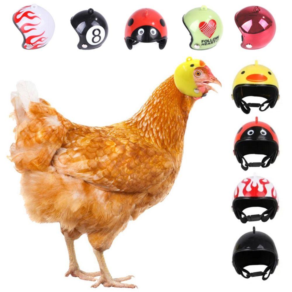 Mini Pet Chicken Helmet Cartoon Small Pet Hard Hat Pet Protective Headgear  For Bird Quail Pigeon