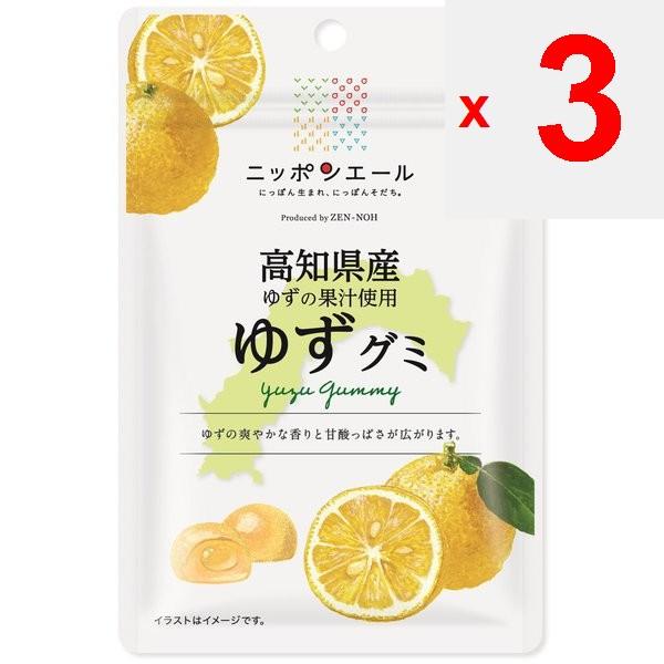 JA Nippon Ale Kochi Yuzu Gummi 40gNippon Ale Brand with the Catchphrase Nippon-born, Nippon-sodachi Nippon Ale Brand with the Catchphrase Nippon-born,