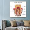 Human Organs Brain Liver Heart Anatomy Poster Print Canvas Painting Human Body Map Medical Classroom Office Room Home Decoration