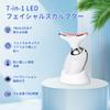 EMS Facial Light Beauty Heating and for and Body Perfect for Business or Day Gifts Massager, 7-Color Roller, Multi-Function Vibration, Mouth, Neck,