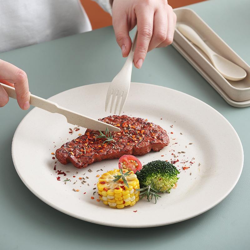 Fashion Cutlery Set Travel Flatware Set Portable Utensils With Case Spoon Fork Knife Set