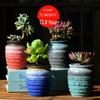 Succulent Ceramic Stump Pot: Retro Terracotta, Breathable & Water-Absorbing, Creative Small Flower Planter