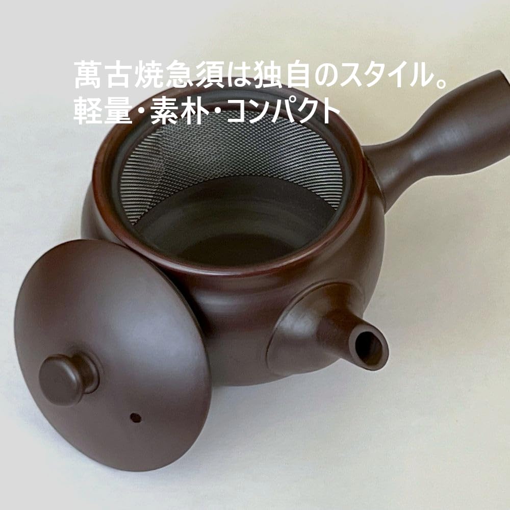 Yokkaichi Banko Ware Teapot e233 Purple Clay with Made in Japan Strainer, 250ml,