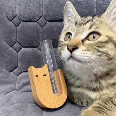 Cat Whisker Vase Fridge Magnet Wooden Refrigerator Magnet with Glass Tube Magnetic Pet Whisker Collector Container Vase Refrigerator Accessories