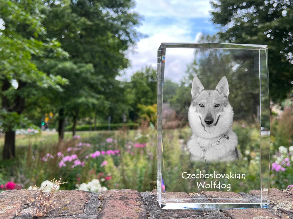Czechoslovakian Wolfdog, Czechoslovak Vlcak – Crystal with a picture of a dog, photo in glass | Art-Dog