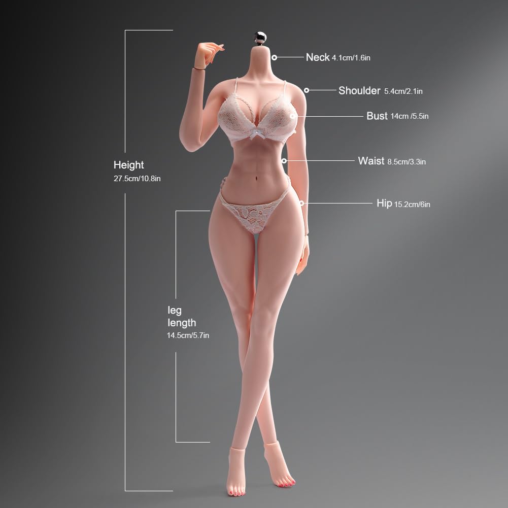 1/6 Maßstab Weiblicher Körper, 12-Zoll Muskel Fitness Super Flexibel Nahtlos Helle Haut Figur Edelstahl Skelett Miniatur Soldat Action Figur Modell