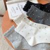 Autumn Japanese Ballet Style Polka Dot Lace Mid-Calf Socks for Women (25 Pack)