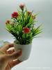 Simulation Green Plants Mini Potted Fake Flower Bonsai - Hot Selling Boutique Product