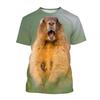 Cute Marmot 3D Print Men's Crew Neck T-Shirt Casual Wildlife Short Sleeve Fashion