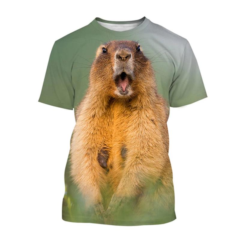 Cute Marmot 3D Print Men's Crew Neck T-Shirt Casual Wildlife Short Sleeve Fashion