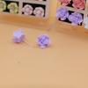 12 Pairs Resin Rose & Succulent Flower Stud Set, Random Mixed Colors, Plastic Ear Posts