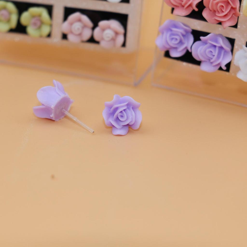 12 Pairs Resin Rose & Succulent Flower Stud Set, Random Mixed Colors, Plastic Ear Posts