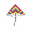 Colorful Rainbow Delta Kite with Long Tail