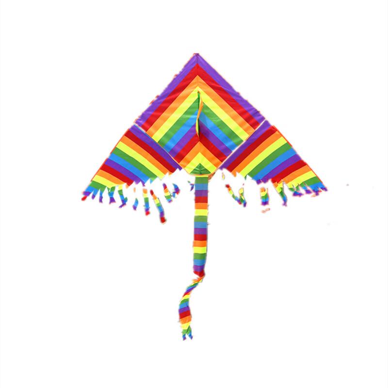 Colorful Rainbow Delta Kite with Long Tail