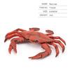 Simulation Ocean Animals Action Figure Cute Crab Sea Life Model Ornaments For Children Gifts Collection