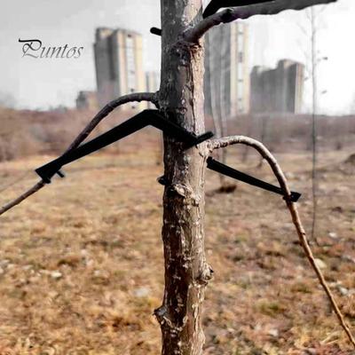 10Pcs Universal Waterproof Hard-wearing Branch Fixator Apple Tree Branch Fixator Courtyard Tool