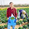 Large Capacity Fruit Picking Bags Wide Opening Vegetable Storage Bags Outdoor Waist Pack  Farm