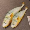 Simulated Large Yellow Croaker Throw Pillow Salted Fish Doll Rag Doll Go To Work Fishing Funny Plush Toy Creative Gift