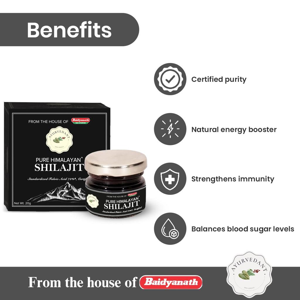 Baidyanath Ayurvedant Pure Himalayan Shilajit Resin 20g Certified for Stamina Boost and Energy Support