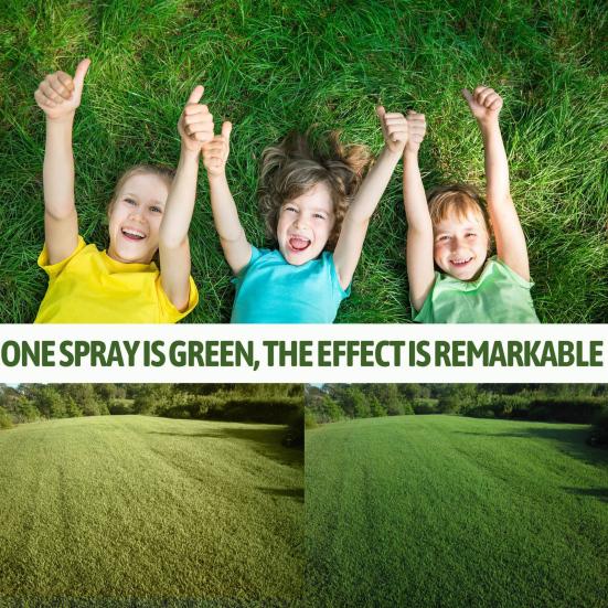 60ML Green Lawn Spray Universal Long Lasting Effect Multi-purpose All Natural Pet-Friendly Lawn Colorant for Yard