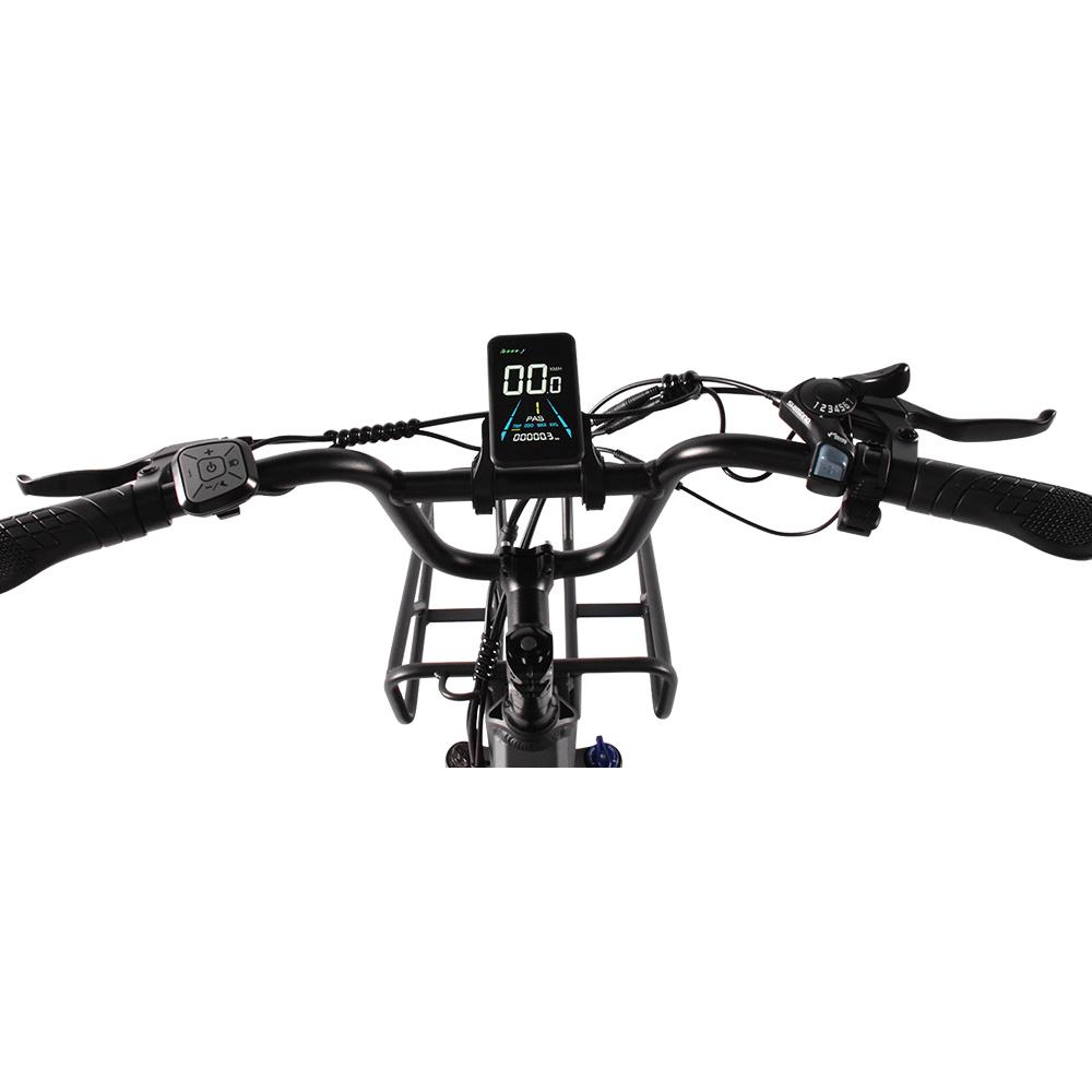 KAISDA K201 All-Terrain Adult Electric Bicycle 350W Motor Men's E-Mountain Bike 36V20.8AH Battery 20 Inch Fat Tyre women's eBike