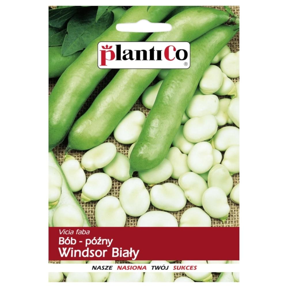 Windsor Broad Bean Seeds White Vegetable for the Garden 50g