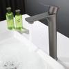 TLXT Black Single Cold Basin Faucet