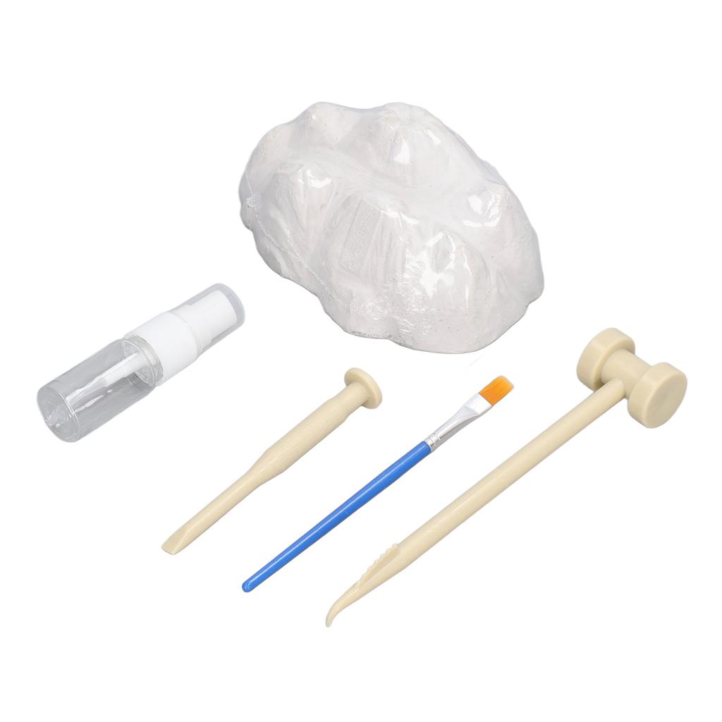 DIY Digging Fossil Kit Colosseum Design Hammer Chisel Small Watering Can Nylon Pen Fossil Excavation Toy for Children