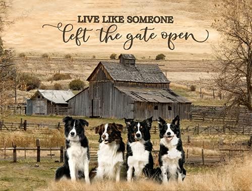 

Funny Tin Sign Border Collie Bar Cafe Living Room Kitchen Home Decoration esAluminum 20x30cm（7.8x11.8inch）