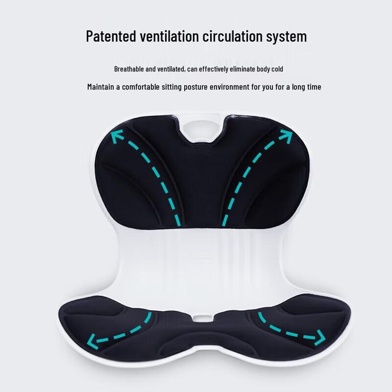 Jiancheng Lumbar Vibration Massage Cushion CN plug (adapter included)