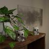 Mini Cat Ghost Ornament Cute Halloween Desktop Decor Spooky Gift For Girlfriend Home Office Collectible Figurine Home Decor