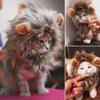 Cute Lion Mane Cat Wig Hat Cover Funny Pets Clothes Cap Fancy Party Dogs Cosplay Costume Kitten Puppy Hat with Ears Accessories