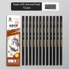 Professional Charcoal Pencils Set for Drawing Sketching Shading Blending 10/12pcs Artists Wooden EX-Soft Medium Hard Pencils
